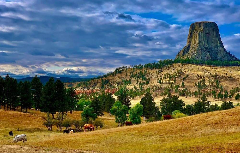Serena Inn & Suites - Sundance at Devils Tower National Monument